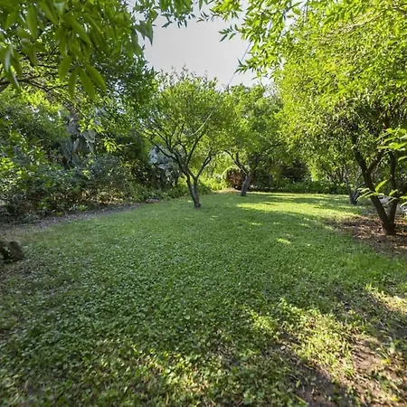 Cozy House With Garden In Bodrum 3* 比特兹
