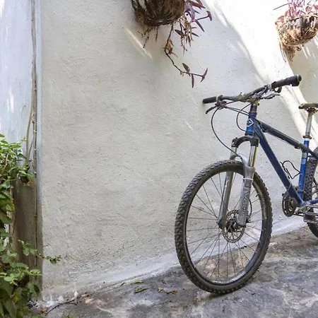 Hotel Cozy House With Garden In Bodrum 3*