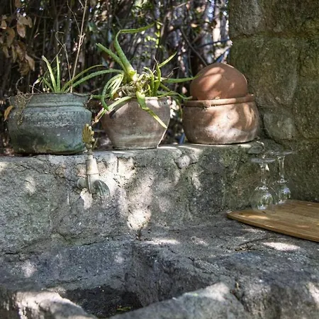 Cozy House With Garden In Bodrum 3* Bitez